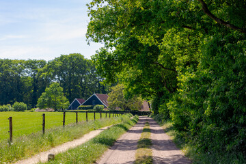 Spring landscape, Gravel path in between forest, farmland and farmhouse, Landgoed Mentink nature preserve in Winterswijk, A village in the easternmost part of the Achterhoek, Gelderland, Netherlands.
