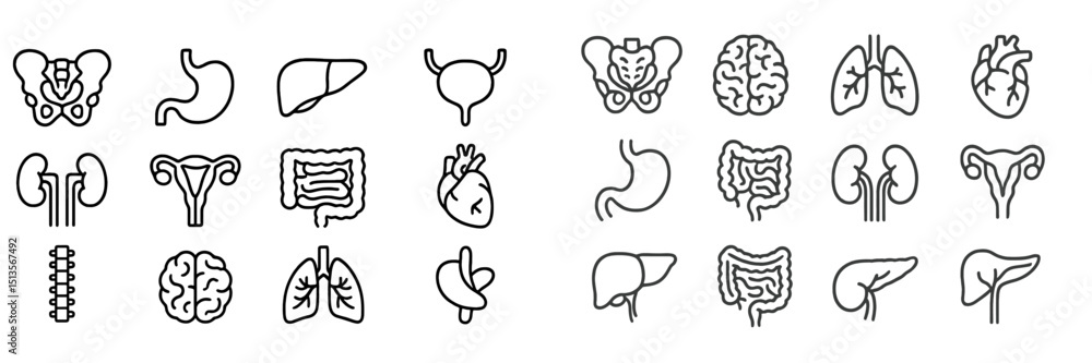 Aufkleber Collection of simple line icons representing various human organs arranged in neat rows on a light background