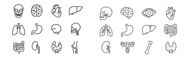Various human anatomy outlines displayed in a clear and organized layout for educational purposes