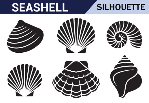 Set of black and white starfish and shell silhouettes, perfect for marine-inspired designs.