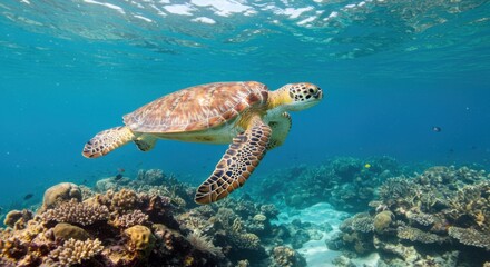 Obraz premium Luxury Beachfront Dining Experience with Fresh Seafood