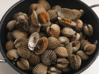 raw clams in a bowl