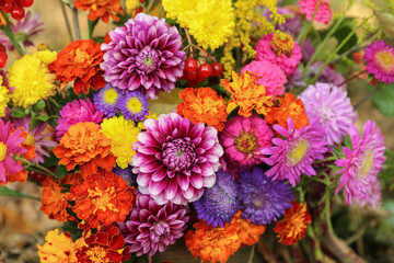 Beautiful autumn pink yellow orange red purple bouquet with dahlia, aster, marigold flower and colorful leaves. Fall bright flowers close up macro background texture
