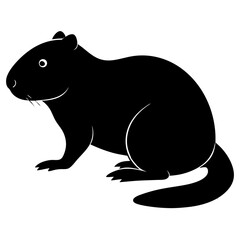 Fototapeta premium beaver on white background