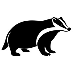 Obraz premium badger on white background