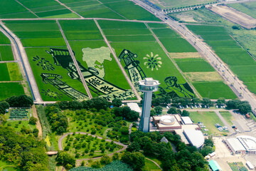 埼玉県行田市の田んぼアートを空撮