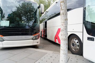 Buses parked closely together in a bus terminal on a sunny day near trees