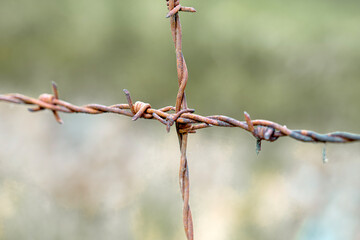 Rusty barbed wire close-up on a blurred background in an outdoor rural setting during daylight hours