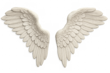 White feathered angel wings spreading on transparent background