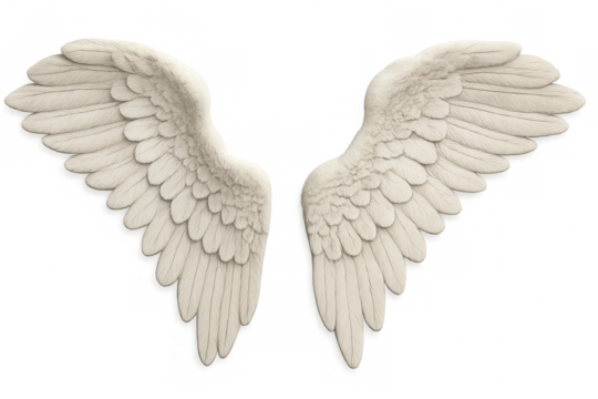 White feathered angel wings spreading on transparent background