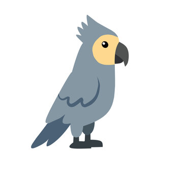 Stylish grey parrot illustration in a clean cartoon style. Ideal for tropical designs, pet icons, wildlife content, or educational animal posters