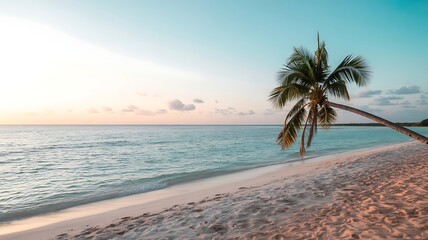 Tropical beach sunset palm tree ocean paradise