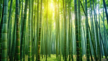 Serene bamboo forest in Pista green color with tall slender stalks and lush foliage at dawn