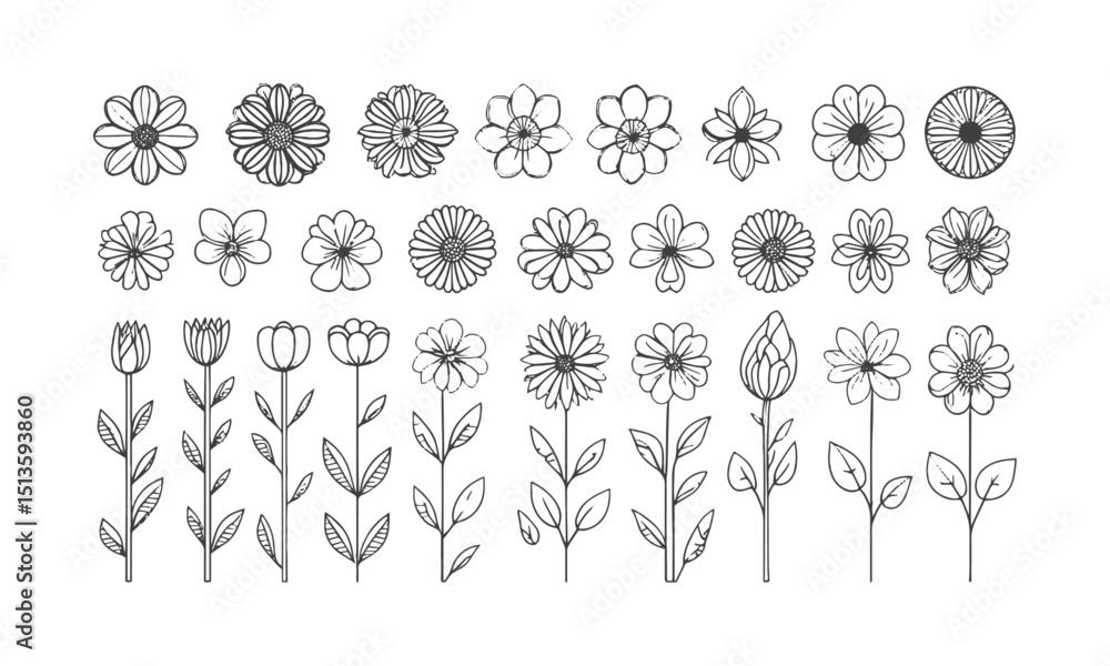 Poster a collection of minimal modern vector-style flower illustrations, include a wide variety of stylized