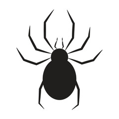 Obraz premium spider on a white background