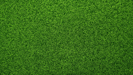 Fototapeta premium green grass background, football field