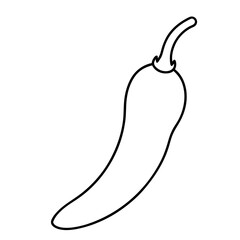 Chili pepper outline vector graphic isolated on white background