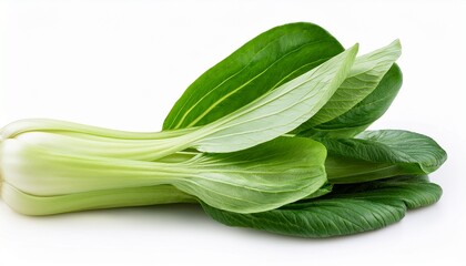 bok choy isolated on white background full depth of field