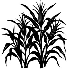 vector silhouette of a Corn stalk silhouette