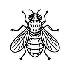 Botfly Doodle Art - Order Diptera