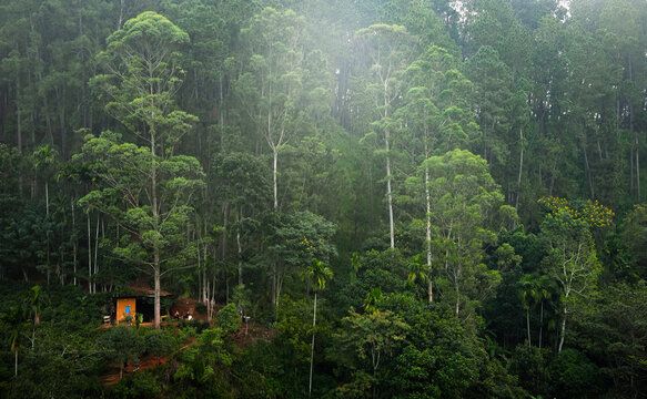 Scenic landscape of  a cabin in the woods of Ella, Sri Lanka, Asia