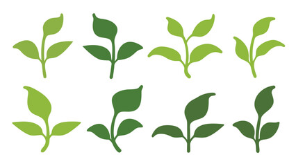 Green Young Plant  Vector Leaf Designs