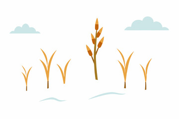 wintry field with dried corn stalks poking through