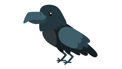 crow on white background