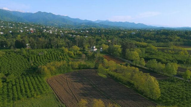 Aerial views showcase a stunning church surrounded by lush landscapes in Ajaria, Georgia. The architecture reflects local history and cultural significance, nestled in a picturesque setting.