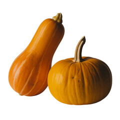 A duo of autumn s bounty a butternut squash and a ripe pumpkin bathed in on transparent background