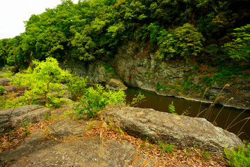 Fototapeta premium 長瀞岩畳 埼玉県秩父郡長瀞町長瀞