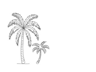 vector illustration of a palm tree. Palm tree vector. Palm tree silhoutte. Tropical palm tree.Vector set of hand-drawn palm trees in black and white outline.Minimal tropical design perfect for summer.