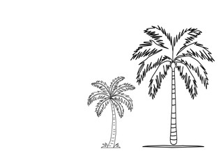 Obraz premium vector illustration of a palm tree. Palm tree vector. Palm tree silhoutte. Tropical palm tree.Vector set of hand-drawn palm trees in black and white outline.Minimal tropical design perfect for summer.
