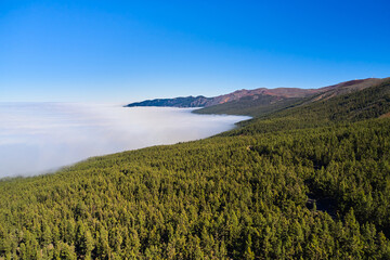 Western and southern nature in a mountainous area. Dense forest in the mountains at high altitude
