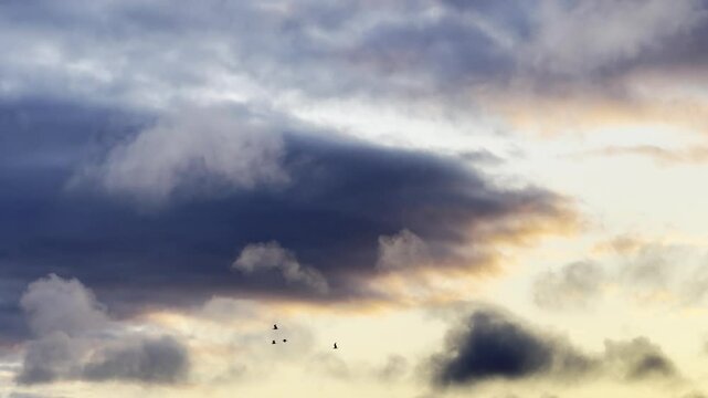 Birds In Flight Through Orange & Dark Cloud Twilight