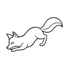 Fototapeta premium Desert Fox in Rolled Position