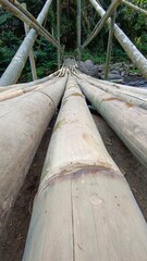 Bamboo Bridge Spanning a River in a Lush Jungle