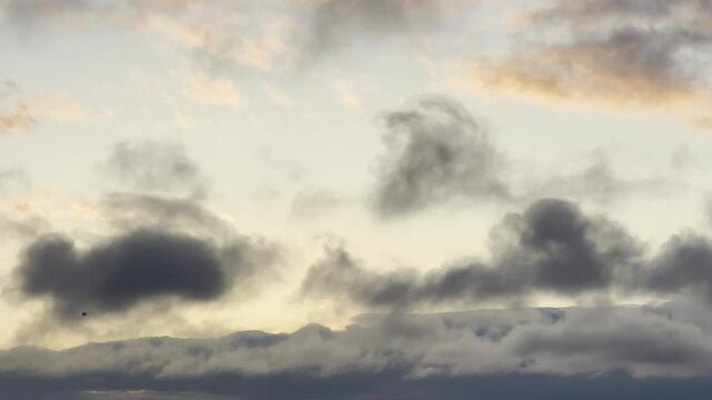 Birds Fly Through Moving Cloud Sky