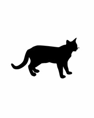 black cat silhouette
