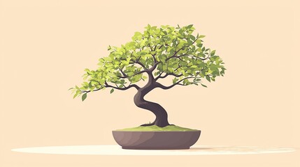 Bonsai Tree Illustration (105)