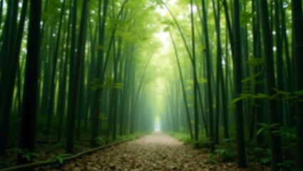 Obraz premium Bamboo Forest Breeze 