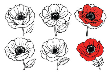 Set of red poppy petals flowers line art vector illustration on white background.