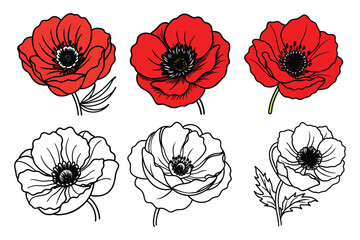 Set of red poppy petals flowers line art vector illustration on white background.
