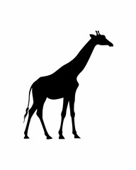 giraffe silhouette