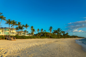 Palm trees on the scenic beach of Naples, Florida landscape
