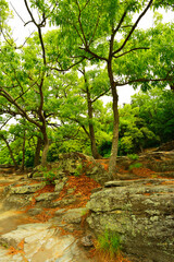 長瀞岩畳　埼玉県秩父郡長瀞町長瀞