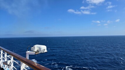 polar bear in the sea