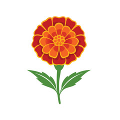 orange dahlia flower