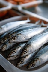 Obraz premium A tray of fish is displayed in a clear container. The fish are all different sizes and shapes, but they all have a similar silver color. The tray is placed on a table