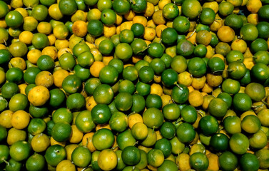 pile of green and yellow calamansi that looks fresh and abundant.